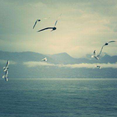 爱游戏APP·官方登录入口(ayx)