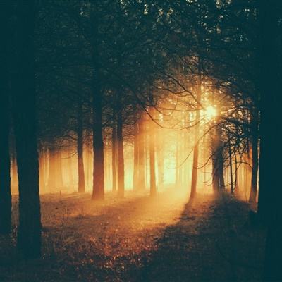 乐虎国际下载手机版截图