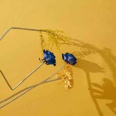 乐虎国际下载手机版